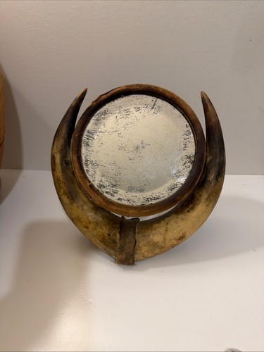 Vintage cow horn - horn, table